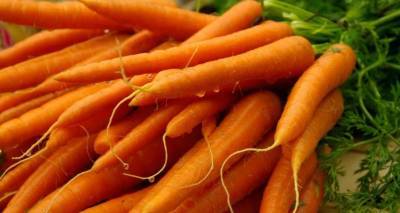Без вреда для здоровья. Чем полезна морковь?
