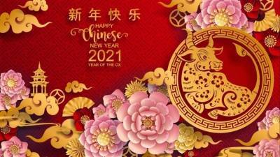 Год металлического Быка: Что ждет каждый из знаков китайского гороскопа в 2021-м?