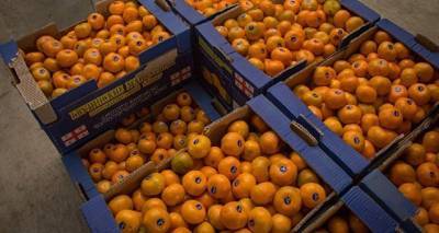 Грузия вывезла 38 тысяч тонн мандаринов за рубеж
