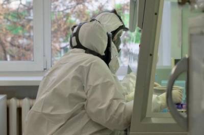 В России готовятся к испытаниям антитела, нейтрализующего коронавирус