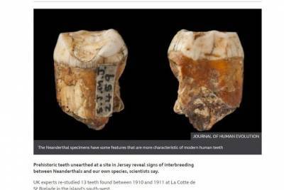 Ученые нашли новые свидетельства скрещивания неандертальцев и людей
