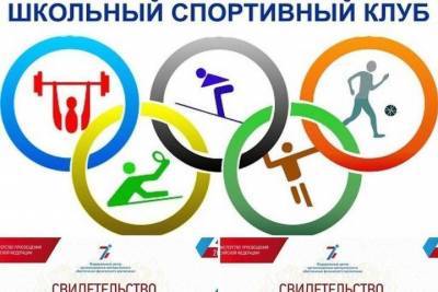 Школьные спортклубы Серпухова вошли во Всероссийский реестр