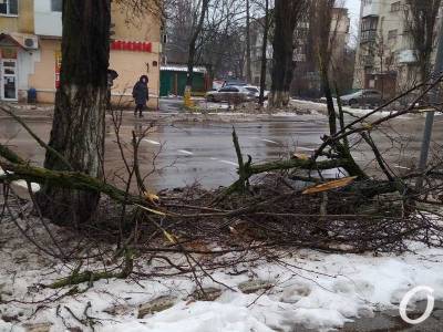 Где же «Горзелентрест»: улицы Одессы до сих пор завалены опавшими ветками (фото)