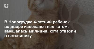 В Новогрудке 4-летний ребенок во дворе издевался над котом: вмешалась милиция, кота отвезли в ветклинику