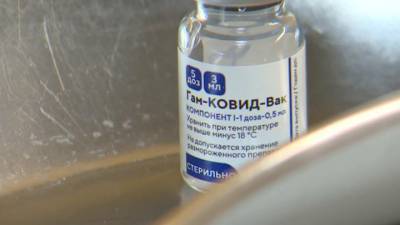 Новости на "России 24". Вакцинация от коронавируса: в Южно-Сахалинске прививку делают в мобильных пунктах