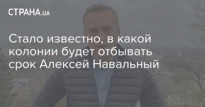 Стало известно, в какой колонии будет отбывать срок Алексей Навальный