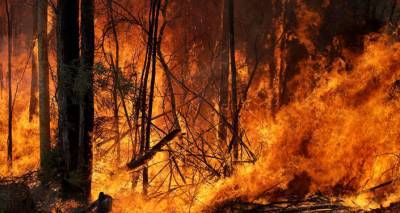 Пожары в Австралии: сотни людей эвакуированы, разрушены дома
