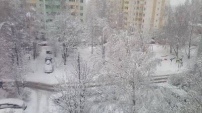 Сильный снегопад накроет Москву в среду