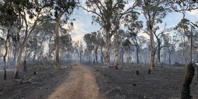 Лесной пожар вблизи Перта в Австралии уничтожил десятки домов - фото, видео - ТЕЛЕГРАФ