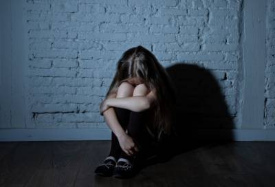 Жительница Подпорожья заявила об изнасиловании ее 11-летней дочери