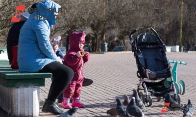 В Госдуме нашли способ повышения пособия для матерей