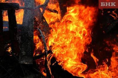 В Коми сгорели домашние животные и велосипед