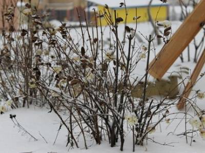 В Уфе опубликован график очистки дворов от снега на 4 февраля