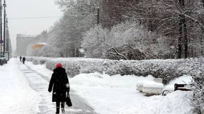В Петербурге ожидается сильный снегопад из-за циклона