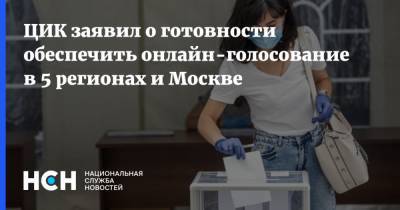 ЦИК заявил о готовности обеспечить онлайн-голосование в 5 регионах и Москве