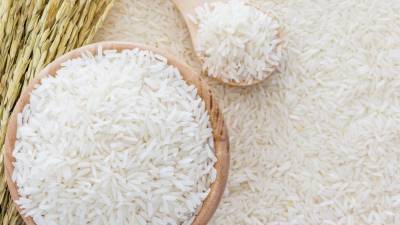 В Астраханскую область зашли две компании по выращиванию риса