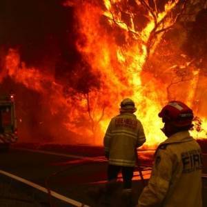 В Австралии разгорелись масштабные лесные пожары. Видео