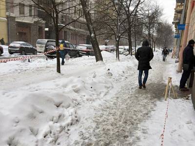 Петербуржцы пожаловались губернатору на отсутствие уборочной техники на заснеженных улицах (фото)