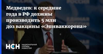 Медведев: к середине года в РФ должны производить 5 млн доз вакцины «Эпиваккорона»