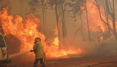 В Австралии вновь вспыхнули масштабные лесные пожары (ВИДЕО)