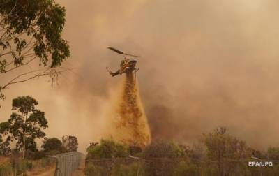 Масштабные лесные пожары начались в Австралии