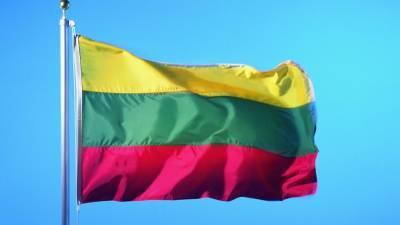 Парламентарий Кащюнас рассказал, как Литва "ублажила" американцев