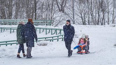 Начавшийся снегопад в Москве продлится более суток