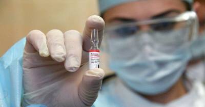 В Кремле подтвердили планы о поставках российской вакцины от COVID-19 в "Л/ДНР"