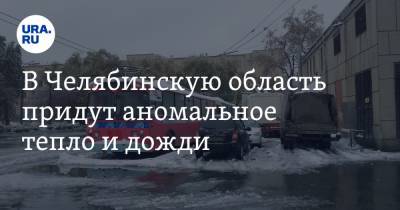 В Челябинскую область придут аномальное тепло и дожди
