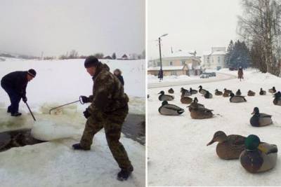 Костромские курьезы: солигаличские утки пришли спасаться от голода в местной «Пятерочке»