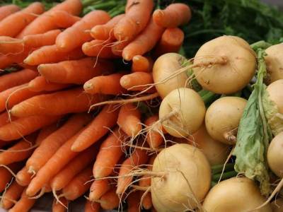 Диетолог перечислил самые полезные «зимние» овощи