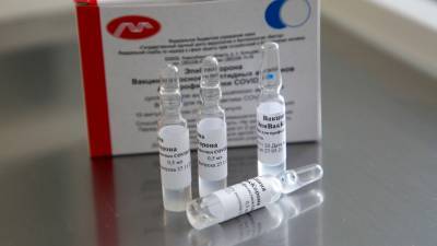 Россия передала Беларуси вакцину «ЭпиВакКорона»