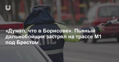 «Думал, что в Борисове». Пьяный дальнобойщик застрял на трассе М1 под Брестом