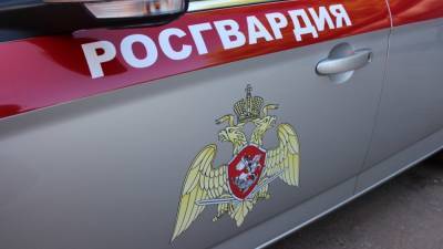 В Москве задержан подозреваемый в поджоге машины Росгвардии на незаконной акции