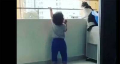 "А ну, убери руки!": Кошка чудом спасла малыша от падения с балкона