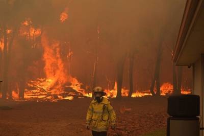 В Австралии горят жилые дома из-за сильного лесного пожара, — Associated Press