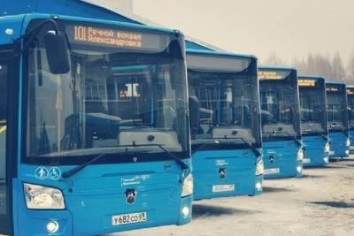 Автобус цвета ультрамарин: «Транспорту Верхневолжья» исполнился год