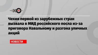 Чехия первой из зарубежных стран вызвала в МИД российского посла из-за приговора Навальному и разгона уличных акций