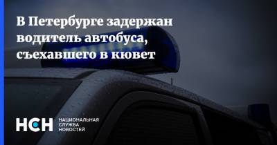 В Петербурге задержан водитель автобуса, съехавшего в кювет