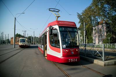 Через пять лет в Петербурге трамваи могут стать беспилотными