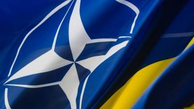 Глава МИД Украины объяснил, почему страну не берут в НАТО