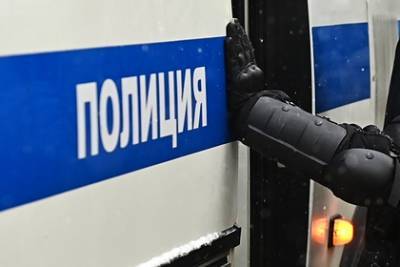 В Москве арестовали 18-летнего участника несанкционированной акции