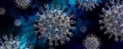 Эпидемиолог рассказала, как выявить бессимптомный коронавирус