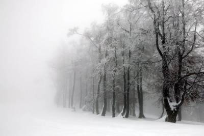Погода в Новосибирске 4 февраля: снег весь день