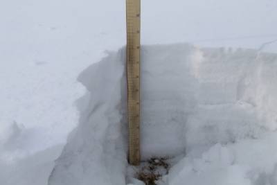 Ученые измерили толщину снежного покрова в Бурятии