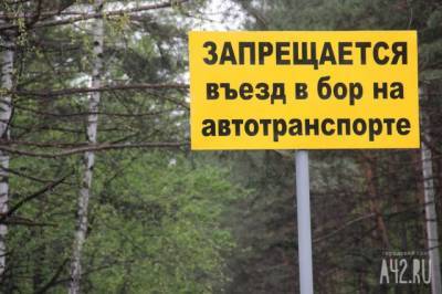 В Кемерове на въезде в Сосновый бор установят камеры видеонаблюдения