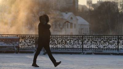 В Гидрометцентре рассказали, когда в России начнутся аномальные холода