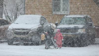 Синоптики прогнозируют сильный снегопад в Москве