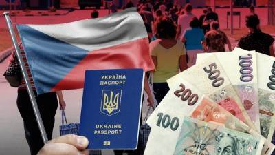 Соцвыплаты для украинцев в Чехии в 2021: размер и условия получения