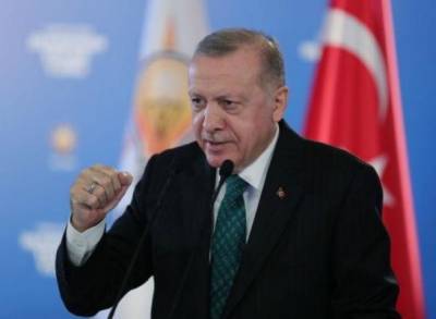 Эрдоган смуты в Стамбуле не допустит: «Вы студенты или террористы?»